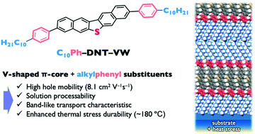 Graphical abstract: Band-like transporting and thermally durable V-shaped organic semiconductors with a phenyl key block