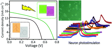 Graphical abstract: Bulk-heterojunction photocapacitors with high open-circuit voltage for low light intensity photostimulation of neurons