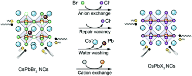 Graphical abstract: Two-phase anion exchange synthesis: multiple passivation for highly efficient and stable CsPbCl3 nanocrystals