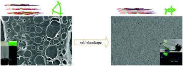 Graphical abstract: Facile fabrication of self-shrinkable AIE supramolecular gels based on benzophenone salicylaldehyde hydrazine derivatives