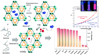 Graphical abstract: A sensitive metal–organic framework nanosensor with cation-introduced chirality for enantioselective recognition and determination of quinine and quinidine in human urine