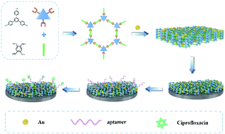 Graphical abstract: Elaborately manufacturing an electrochemical aptasensor based on gold nanoparticle/COF composites for amplified detection performance