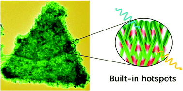 Graphical abstract: Hierarchical growth of Au nanograss with intense built-in hotspots for plasmonic applications
