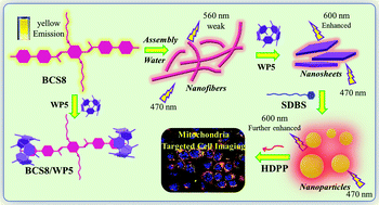 Graphical abstract: Pillar[5]arene-based supramolecular assemblies with two-step sequential fluorescence enhancement for mitochondria-targeted cell imaging