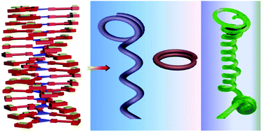 Graphical abstract: Chiral toroids and tendril superstructures from integrated ternary species with consecutively tunable supramolecular chirality and circularly polarized luminescence