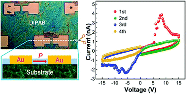 Graphical abstract: Self-assembled non-volatile micro memory arrays of molecular ferroelectrics
