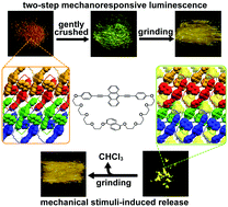 Graphical abstract: Two-step mechanoresponsive luminescence and mechanical stimuli-induced release of small molecules exhibited by a luminescent cyclophane