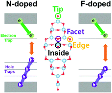Graphical abstract: Site-dependent photoinduced charge carrier dynamics in nitrogen/fluorine doped TiO2 nanoparticles