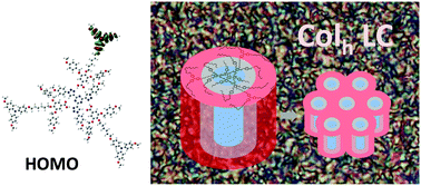 Graphical abstract: Triphenylamine- and triazine-containing hydrogen bonded complexes: liquid crystalline supramolecular semiconductors