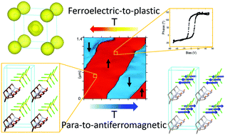 Graphical abstract: ((R)-(−)-3-Hydroxyquinuclidium)[FeCl4]; a plastic hybrid compound with chirality, ferroelectricity and long range magnetic ordering