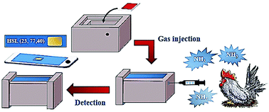 Graphical abstract: A rapid and highly sensitive paper-based colorimetric device for the on-site screening of ammonia gas