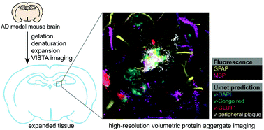 Graphical abstract: High spatial-resolution imaging of label-free in vivo protein aggregates by VISTA