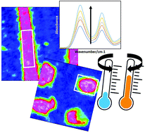 Graphical abstract: ATR-FTIR spectroscopy and spectroscopic imaging to investigate the behaviour of proteins subjected to freeze–thaw cycles in droplets, wells, and under flow