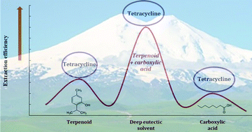 Graphical abstract: A synergistic effect of hydrophobic deep eutectic solvents based on terpenoids and carboxylic acids for tetracycline microextraction