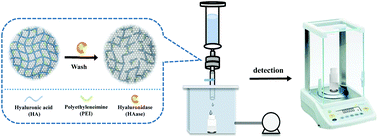 Graphical abstract: Convenient hyaluronidase biosensors based on the target-trigger enhancing of the permeability of a membrane using an electronic balance as a readout