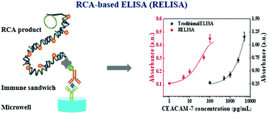Graphical abstract: A fast and ultrasensitive ELISA based on rolling circle amplification