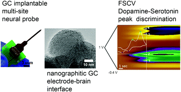 Graphical abstract: Glassy carbon microelectrode arrays enable voltage-peak separated simultaneous detection of dopamine and serotonin using fast scan cyclic voltammetry