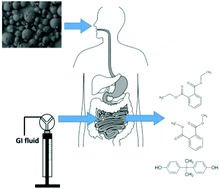 Graphical abstract: An automatic flow-through system for exploration of the human bioaccessibility of endocrine disrupting compounds from microplastics