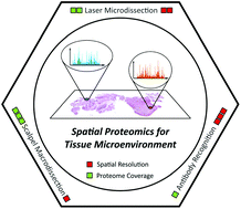 Graphical abstract: Spatial proteomics for understanding the tissue microenvironment