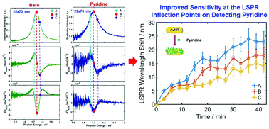 Graphical abstract: Enhanced detection sensitivity of the chemisorption of pyridine and biotinylated proteins at localized surface plasmon resonance inflection points in single gold nanorods