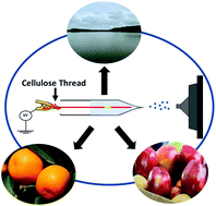 Graphical abstract: Enhanced thread spray mass spectrometry: a general method for direct pesticide analysis in various complex matrices