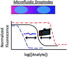 Graphical abstract: Characterization of the impact of mixing and droplet volumes on the behavior of microfluidic ion-selective droptodes