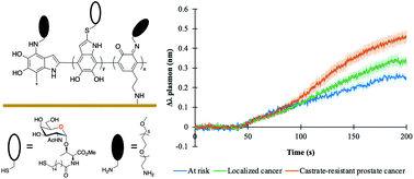 Graphical abstract: A glycan-based plasmonic sensor for prostate cancer diagnosis