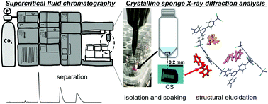 Graphical abstract: Crystalline sponge X-ray analysis coupled with supercritical fluid chromatography: a novel analytical platform for the rapid separation, isolation, and characterization of analytes