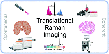 Graphical abstract: Translational biophotonics with Raman imaging: clinical applications and beyond