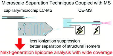 Graphical abstract: Recent advances in microscale separation techniques for lipidome analysis