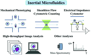 Graphical abstract: Inertial microfluidics for high-throughput cell analysis and detection: a review