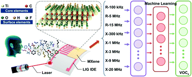 Graphical abstract: A flexible virtual sensor array based on laser-induced graphene and MXene for detecting volatile organic compounds in human breath