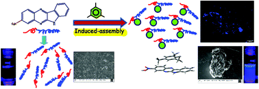 Graphical abstract: Supramolecular self-assembly of a nitro-incorporating quinoxaline framework: insights into the origin of fluorescence turn-on response towards the benzene group of VOCs