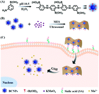 Graphical abstract: Boronate carbon nanoparticles featuring efficient FRET for activatable two-photon fluorescence imaging of sialic acid surface-abundant tumor cells