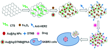 Graphical abstract: Dual-targeting SERS-encoded graphene oxide nanocarrier for intracellular co-delivery of doxorubicin and 9-aminoacridine with enhanced combination therapy