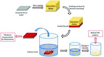 Graphical abstract: Quantification of molecular weight discrimination in grafting to reactions from ultrathin polymer films by matrix-assisted laser desorption/ionization time-of-flight mass spectrometry