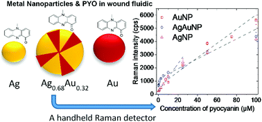 Graphical abstract: A portable SERS sensor for pyocyanin detection in simulated wound fluid and through swab sampling