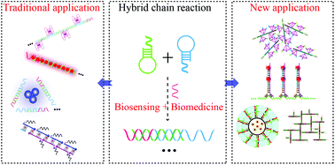Graphical abstract: Traditional and new applications of the HCR in biosensing and biomedicine