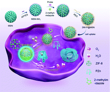 Graphical abstract: Super-assembled silica nanoprobes for intracellular Zn(ii) sensing and reperfusion injury treatment through in situ MOF crystallization