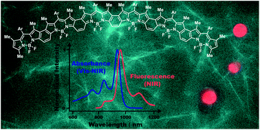Graphical abstract: NIR-emitting benzene-fused oligo-BODIPYs for bioimaging