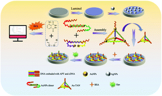 Graphical abstract: A novel label-free electrochemiluminescence aptasensor using a tetrahedral DNA nanostructure as a scaffold for ultrasensitive detection of organophosphorus pesticides in a luminol–H2O2 system