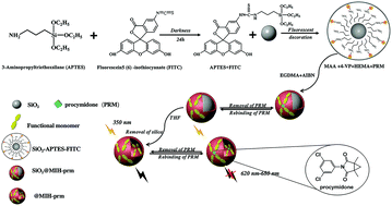 Graphical abstract: Development and critical evaluation of a novel fluorescent nanosensor based on a molecularly imprinted polymer for the rapid detection of procymidone in ginseng