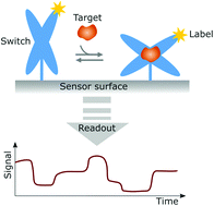 Graphical abstract: Paving the way towards continuous biosensing by implementing affinity-based nanoswitches on state-dependent readout platforms