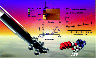 Graphical abstract: Amine-functionalized carbon-fiber microelectrodes for enhanced ATP detection with fast-scan cyclic voltammetry