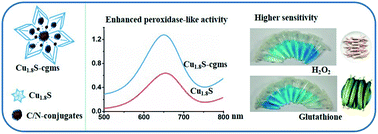 Graphical abstract: Carbon–nitrogen conjugate-composited Cu1.8S with enhanced peroxidase-like activity for the colorimetric detection of hydrogen peroxide and glutathione