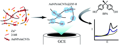Graphical abstract: In situ growth of ZIF-8 on gold nanoparticles/magnetic carbon nanotubes for the electrochemical detection of bisphenol A