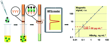 Graphical abstract: Nanobiosensing based on optically selected antibodies and superparamagnetic labels for rapid and highly sensitive quantification of polyvalent hepatitis B surface antigen
