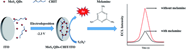 Graphical abstract: Electrodeposition immobilized molybdenum disulfide quantum dots and their electrochemiluminescence application in the detection of melamine residues in milk powder