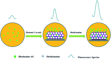 Graphical abstract: Diethylamine fluorescence sensor based on silica hollow sphere photonic crystals