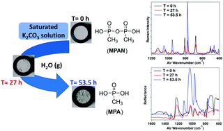 Graphical abstract: Hydrolysis of methylphosphonic anhydride solid to methylphosphonic acid probed by Raman and infrared reflectance spectroscopies